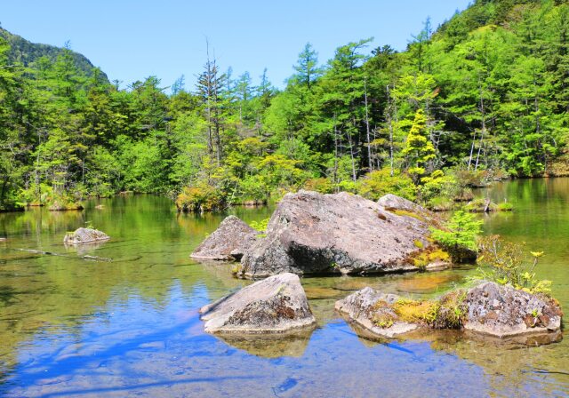 新緑の明神池