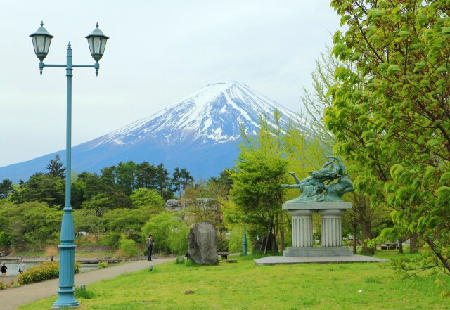 新緑の河口湖