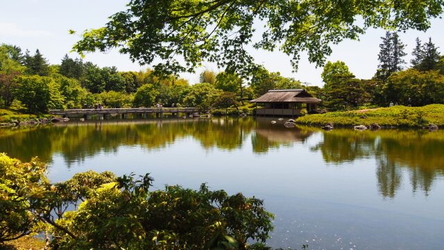 春の昭和記念公園