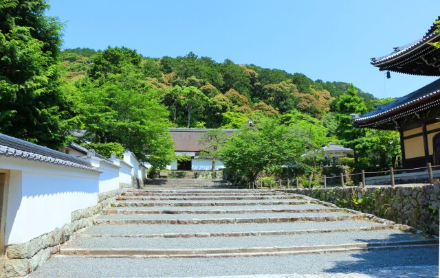 新緑の南禅寺