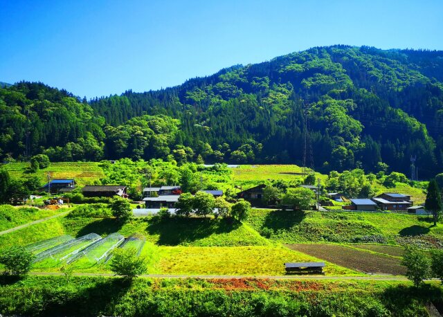 新緑の里山