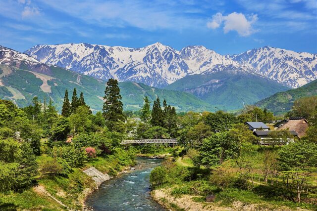 新緑の大出公園