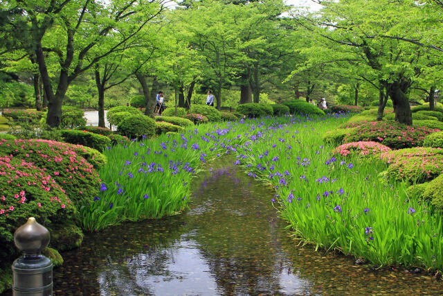 初夏の兼六園