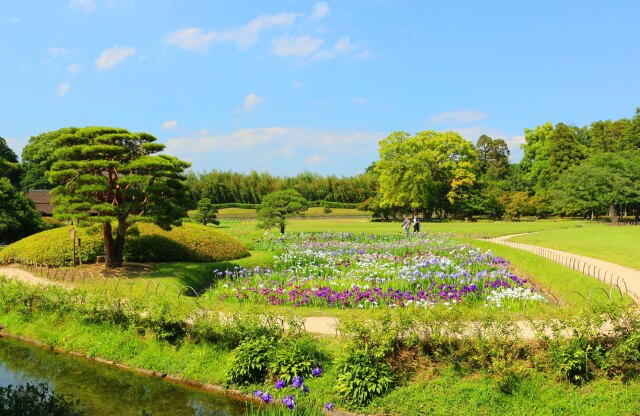 新緑の後楽園