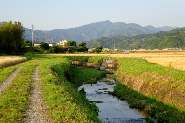 麦秋 里の夕暮れ