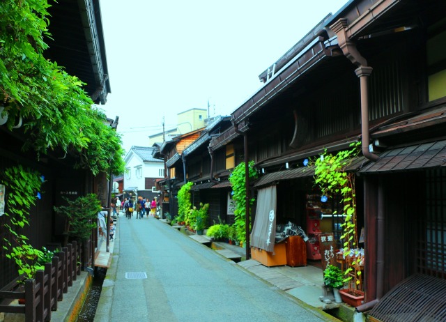 新緑の高山市