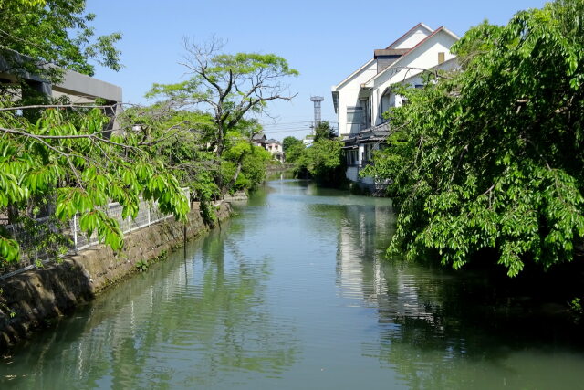 静かな新緑 川下り遊覧水路