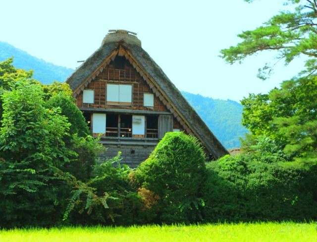 新緑の白川郷