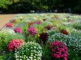 京都府立植物園