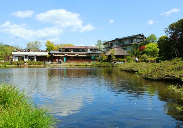 新緑の忍野八海