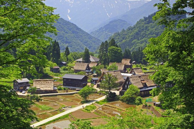 初夏の五箇山