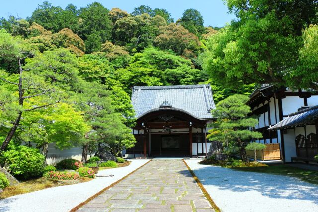 新緑の南禅寺