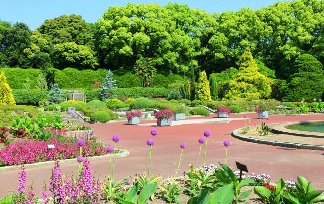 新緑の京都府立植物園