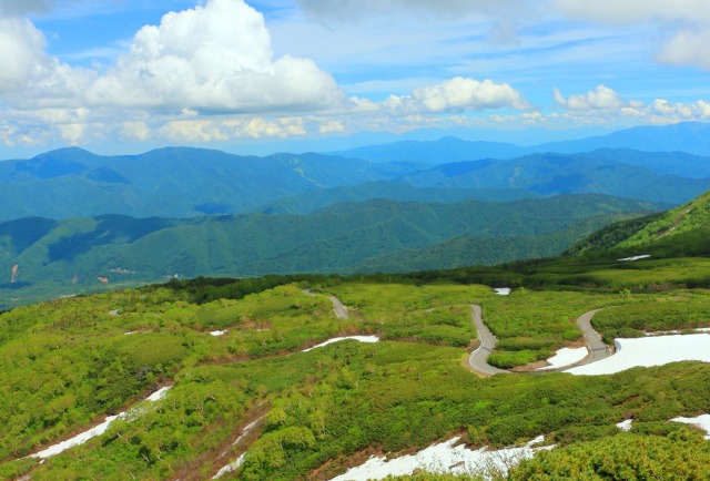 新緑の乗鞍岳