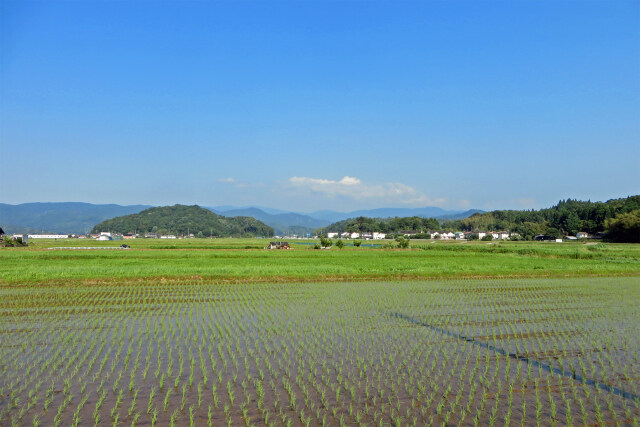 田園風景 田植の季節