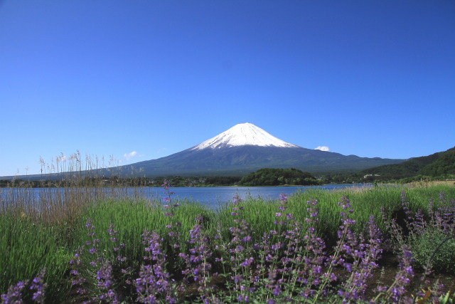 再々雪化粧の富士山