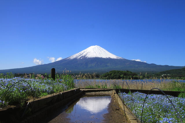 水溜まりに逆さ富士