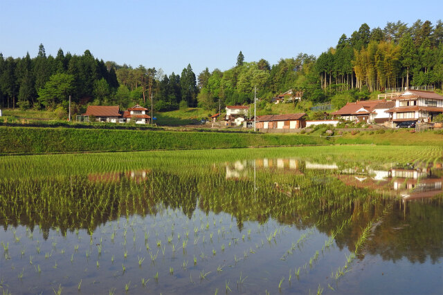 山里の朝