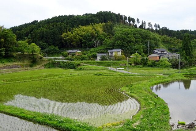 山里は田植えの季節