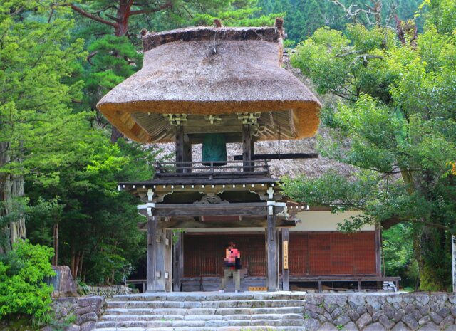 新緑の白川郷