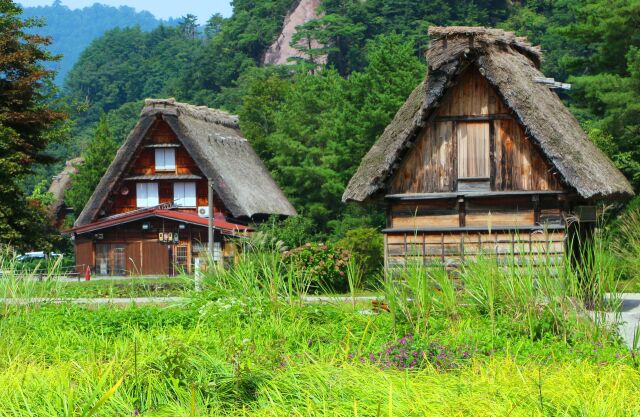 新緑の白川郷