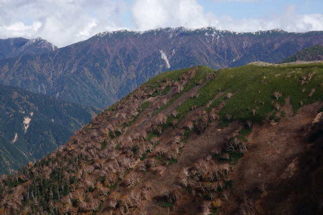 燕岳を望む