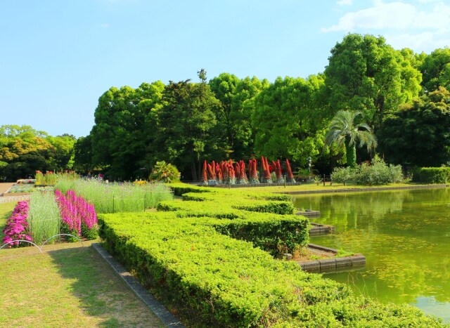 新緑の京都府立植物園