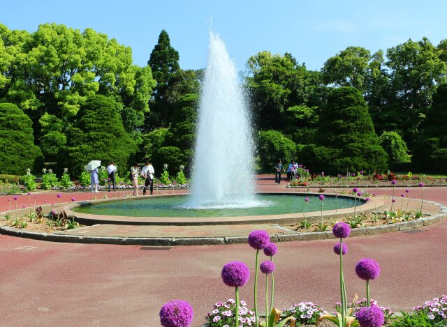 新緑の京都府立植物園