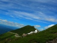 新緑の乗鞍岳