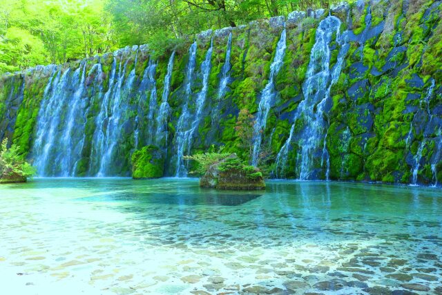 新緑の清流の里