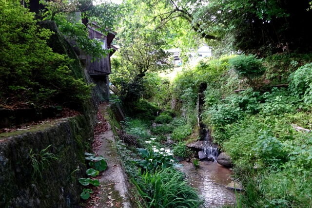 山村を流れる渓流