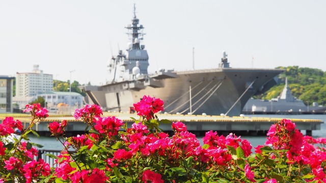 ヴェルニー公園のバラと護衛艦