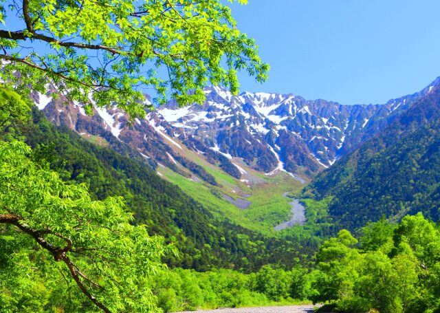 新緑の穂高連峰