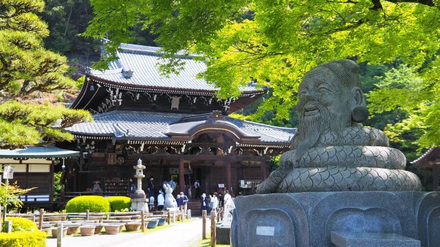 春の三室戸寺