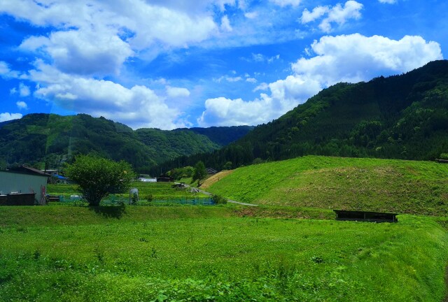 初夏の里山