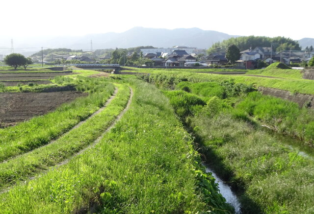 初夏の散策路