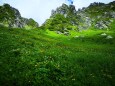 初夏の駒ケ岳