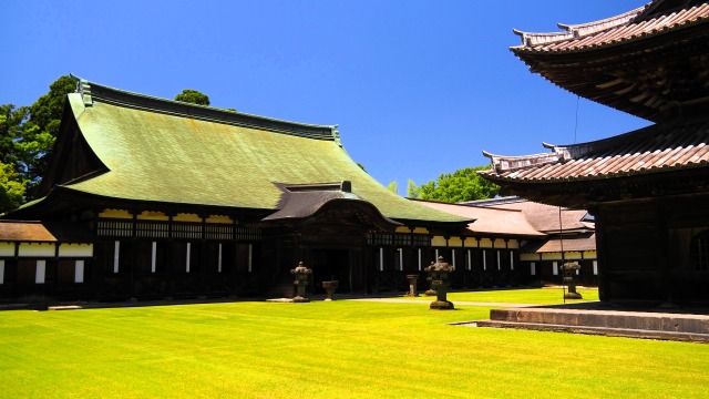 春の瑞龍寺