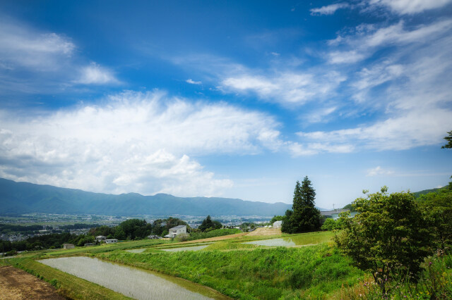 梅雨入り前の町