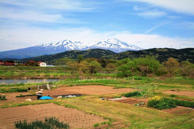 鳥海山