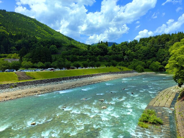 初夏の白川郷の川