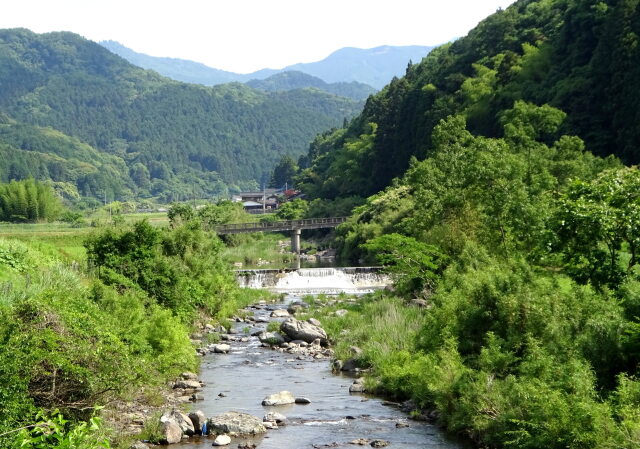 緑の山間部を流れる川