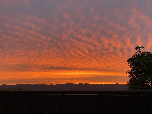 夕焼け曇