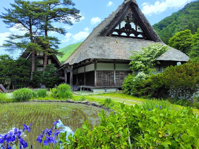 初夏の白川郷