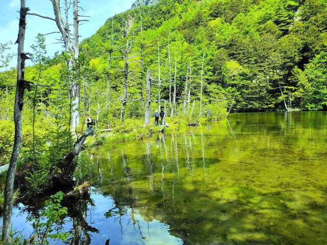 初夏の明神池