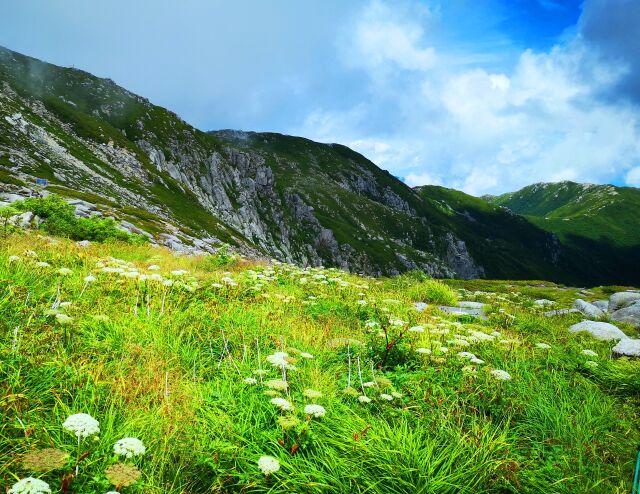 初夏の駒ヶ岳