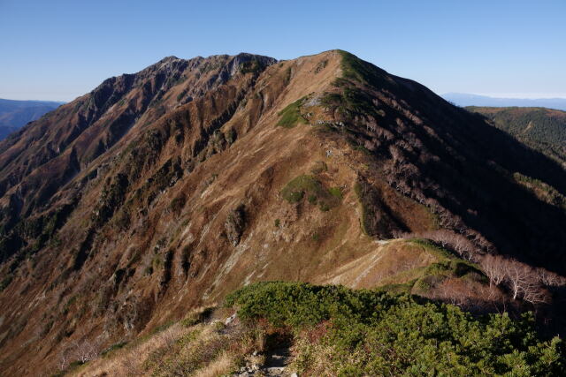 大ノマ岳を望む