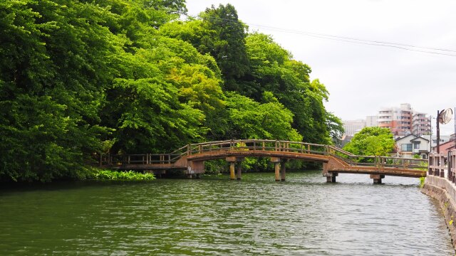 春の高岡古城公園