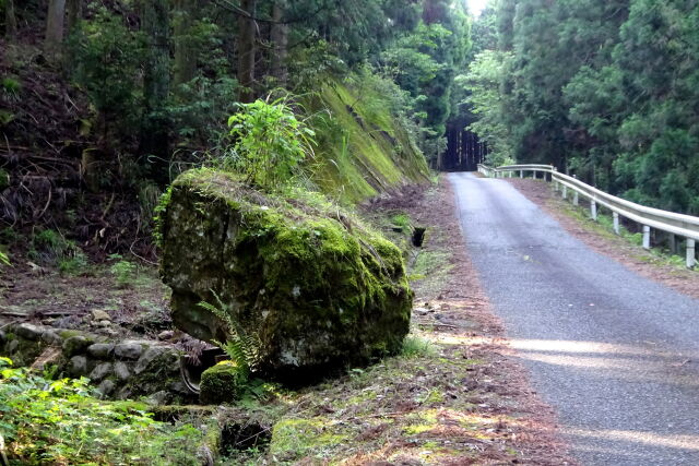 静かな山越えの道で