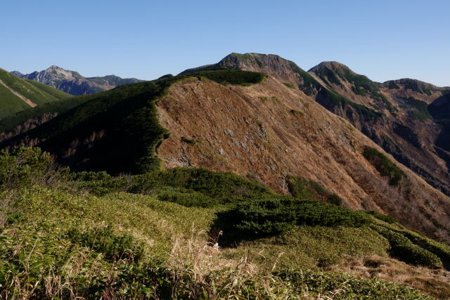 弓折岳稜線